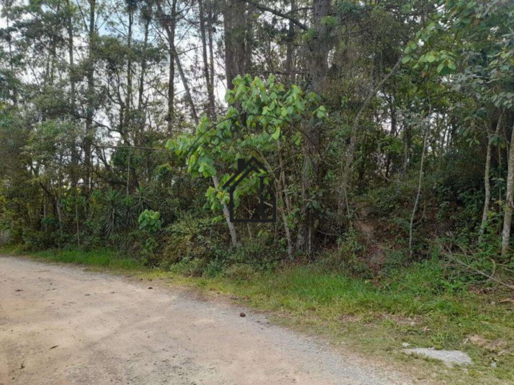 Terreno à venda, 1550m² - Foto 4