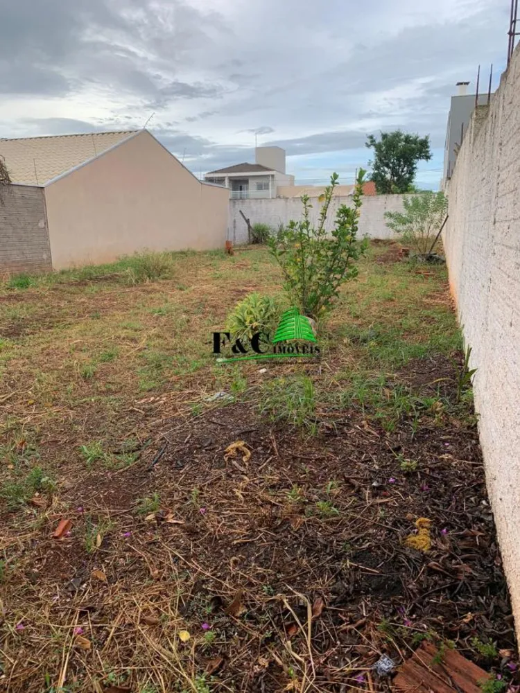 Terreno, 250 m² - Foto 4