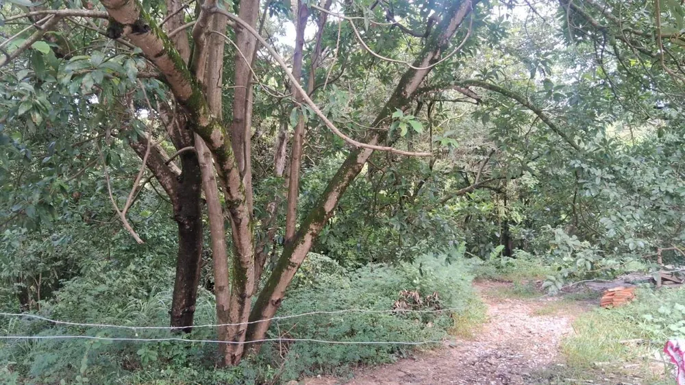 Terreno, 132 m² - Foto 7