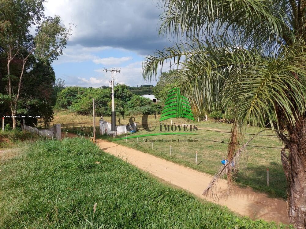 Fazenda, 3 hectares - Foto 4