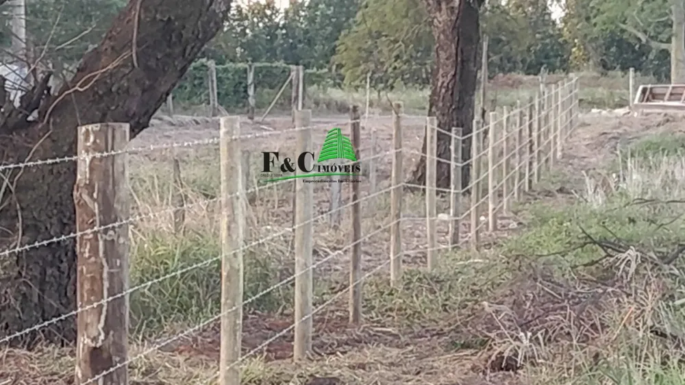 Terreno, 3 hectares - Foto 3