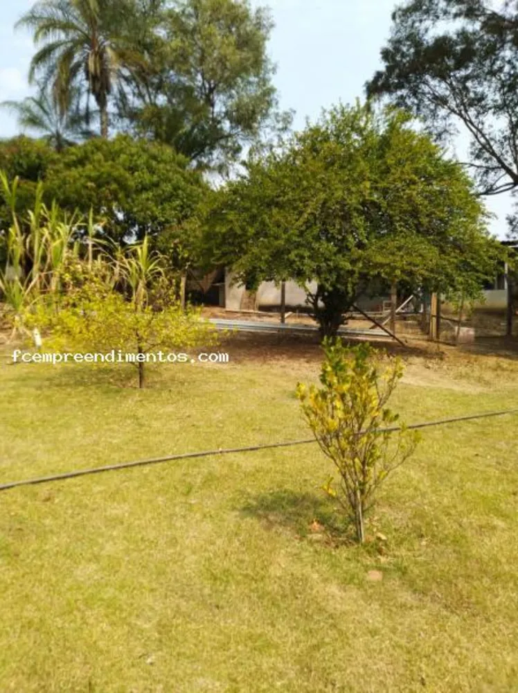 Chácara, 4 quartos, 2500 m² - Foto 10