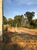 Terreno, 3407 m² - Foto 5