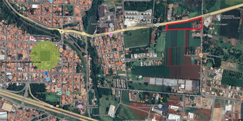 Terreno, 2 hectares - Foto 3