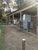 Chácara, 3 quartos, 10000 m² - Foto 1