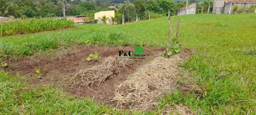 Terreno, 2840 m² - Foto 9
