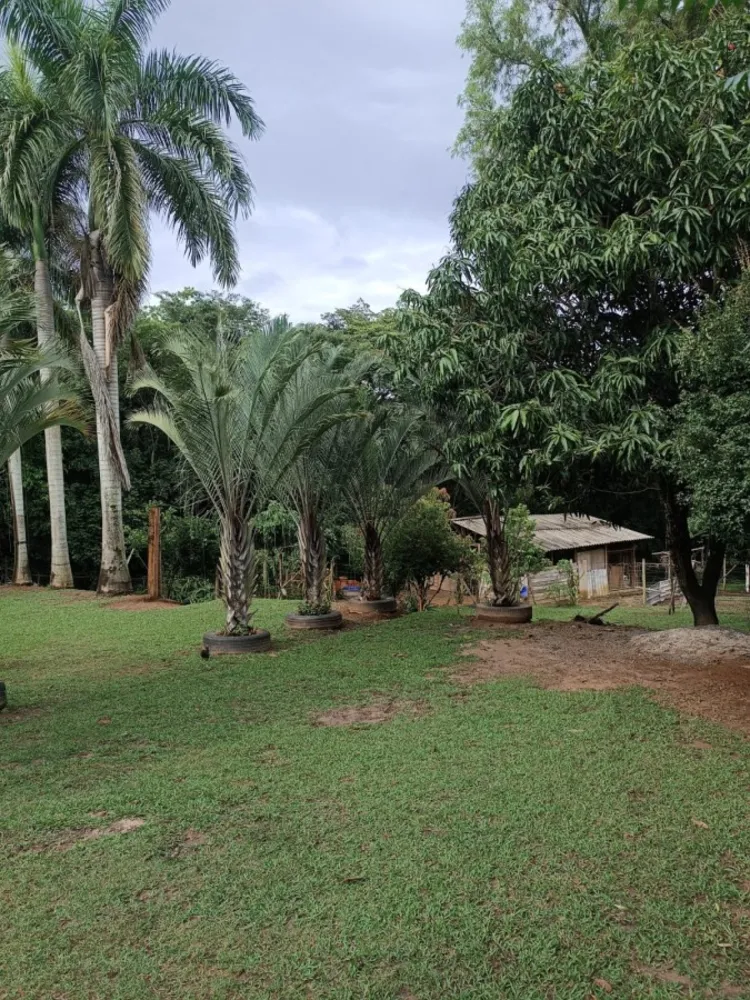 Chácara, 3 quartos, 3950 m² - Foto 4