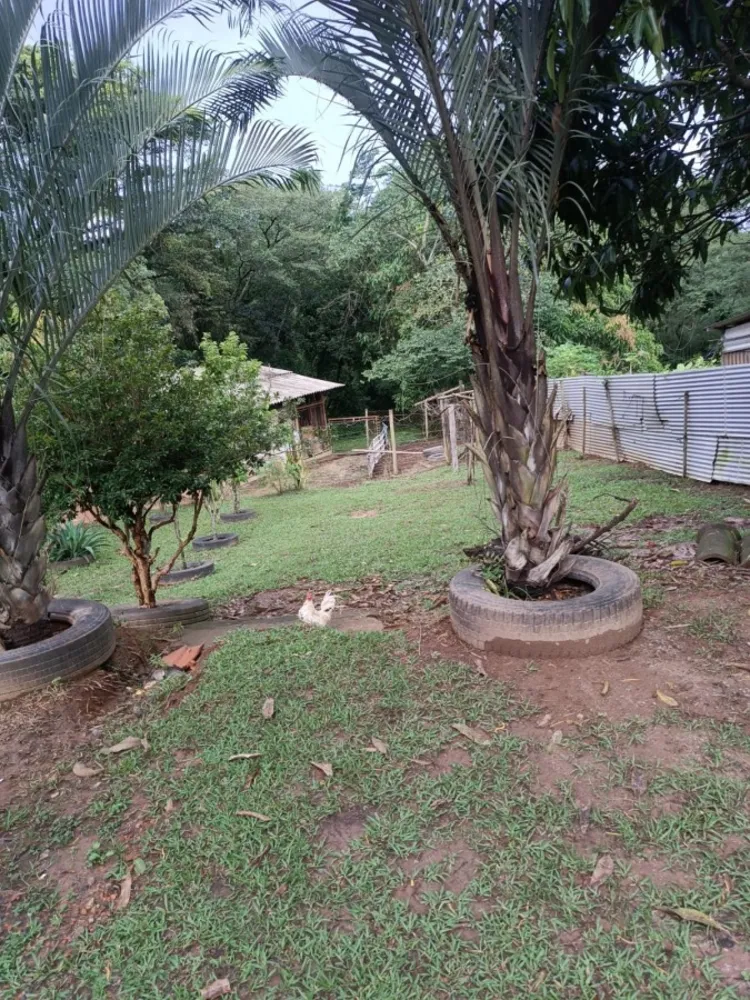 Chácara, 3 quartos, 3950 m² - Foto 2
