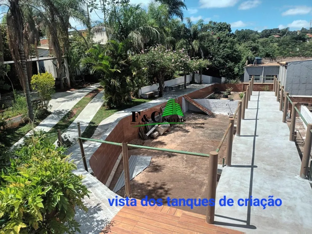 Casa, 4 quartos - Foto 7
