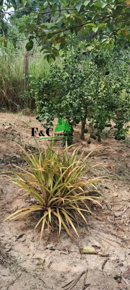 Fazenda, 2400 m² - Foto 3