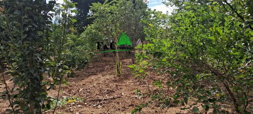 Chácara, 2 quartos, 2400 m² - Foto 3