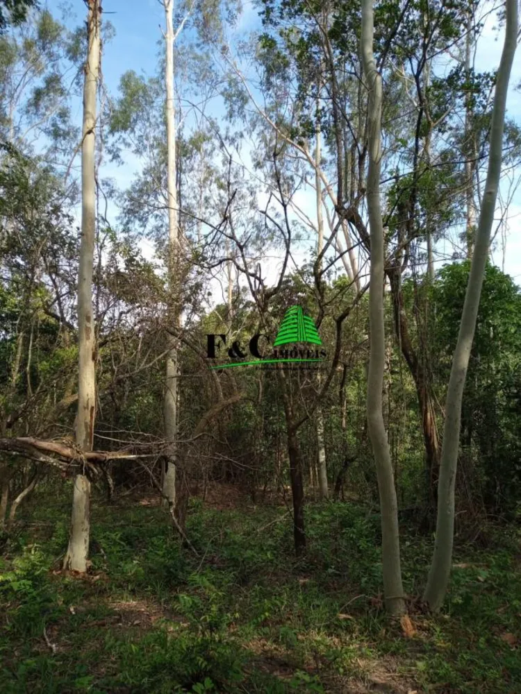 Terreno, 2 hectares - Foto 4