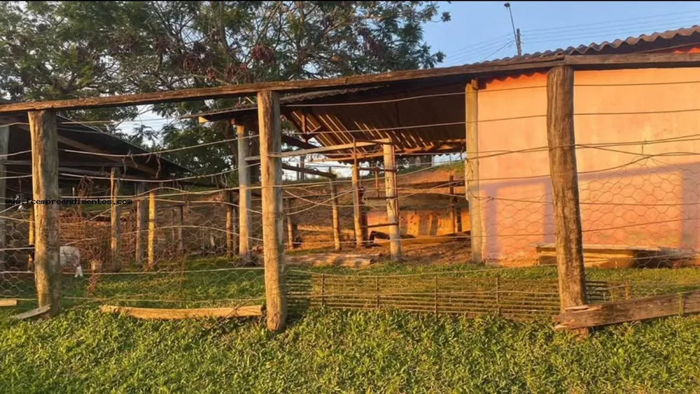 Chácara, 1 quarto, 6050 m² - Foto 6