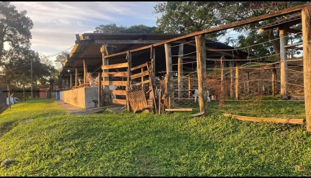 Chácara, 1 quarto, 6050 m² - Foto 5