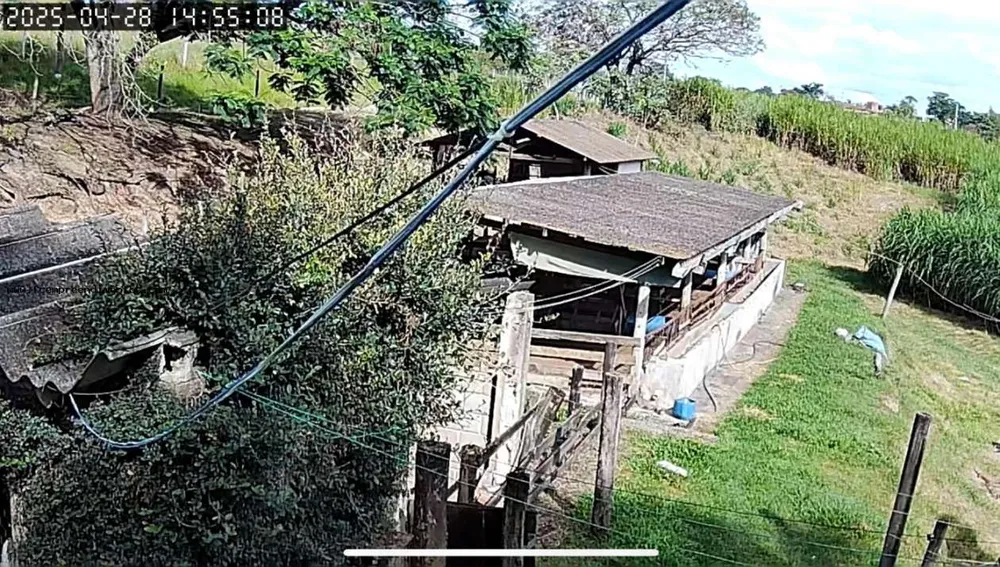 Chácara, 1 quarto, 6050 m² - Foto 7