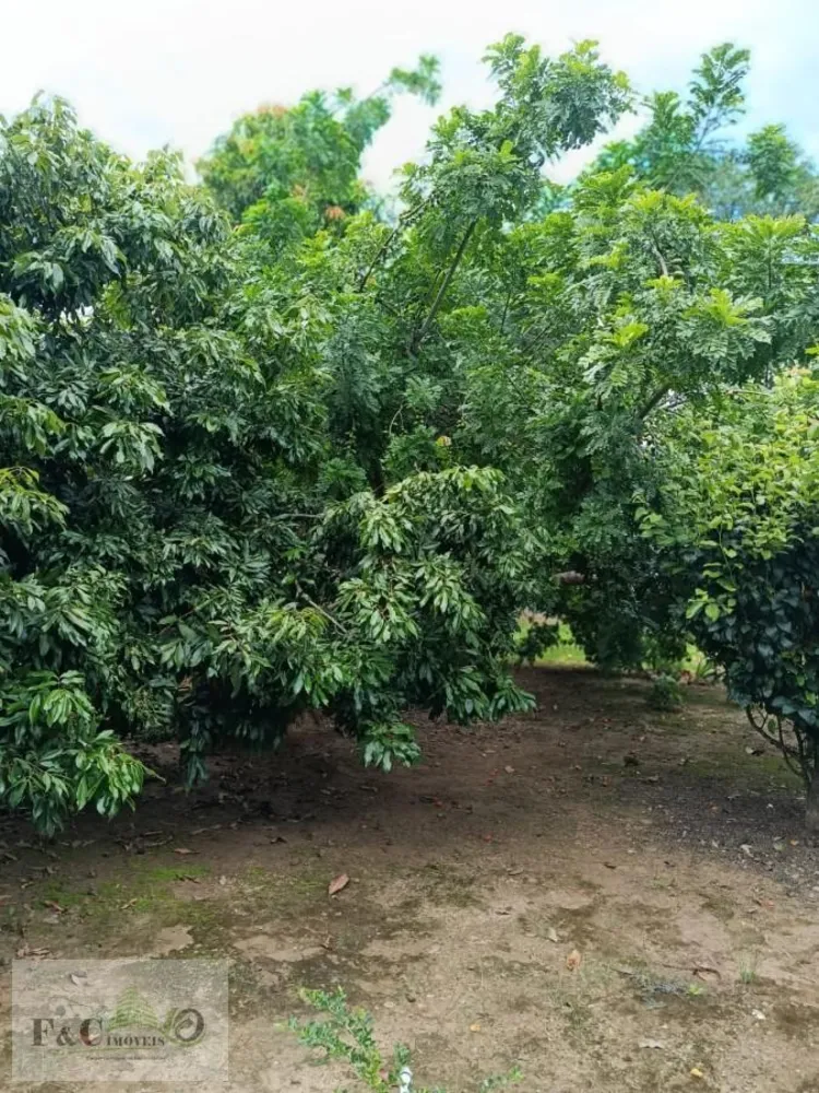 Chácara, 3 quartos, 1250 m² - Foto 5
