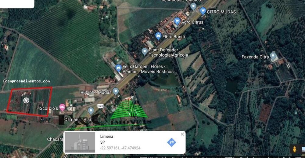 Terreno, 2 hectares - Foto 2