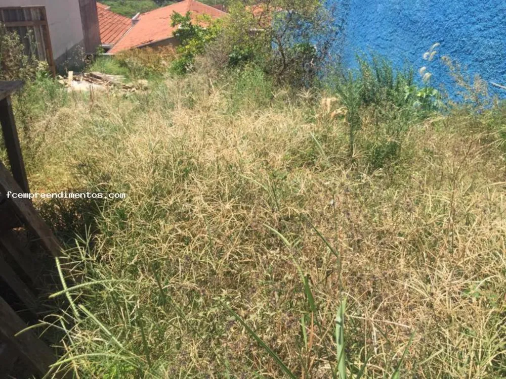 Terreno, 250 m² - Foto 1