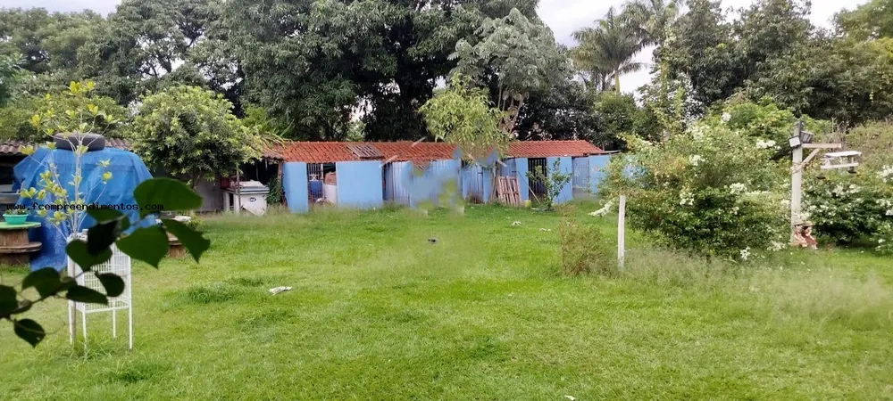 Chácara, 1 quarto, 2500 m² - Foto 3