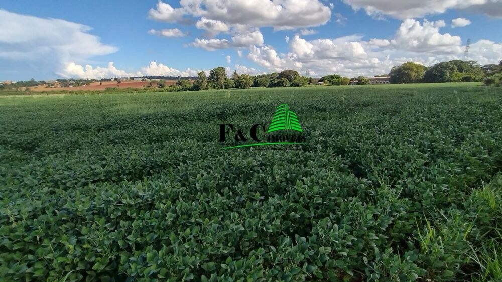 Terreno, 5 hectares - Foto 2