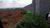 Terreno, 5000 m² - Foto 2