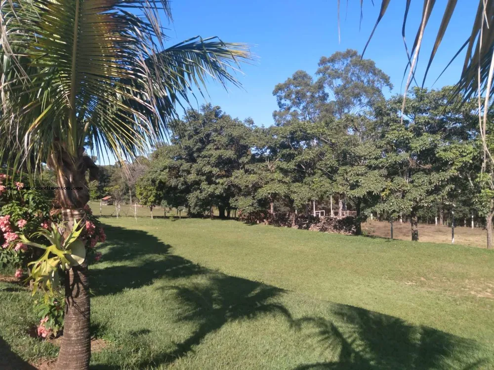 Chácara, 3 quartos, 2 hectares - Foto 4