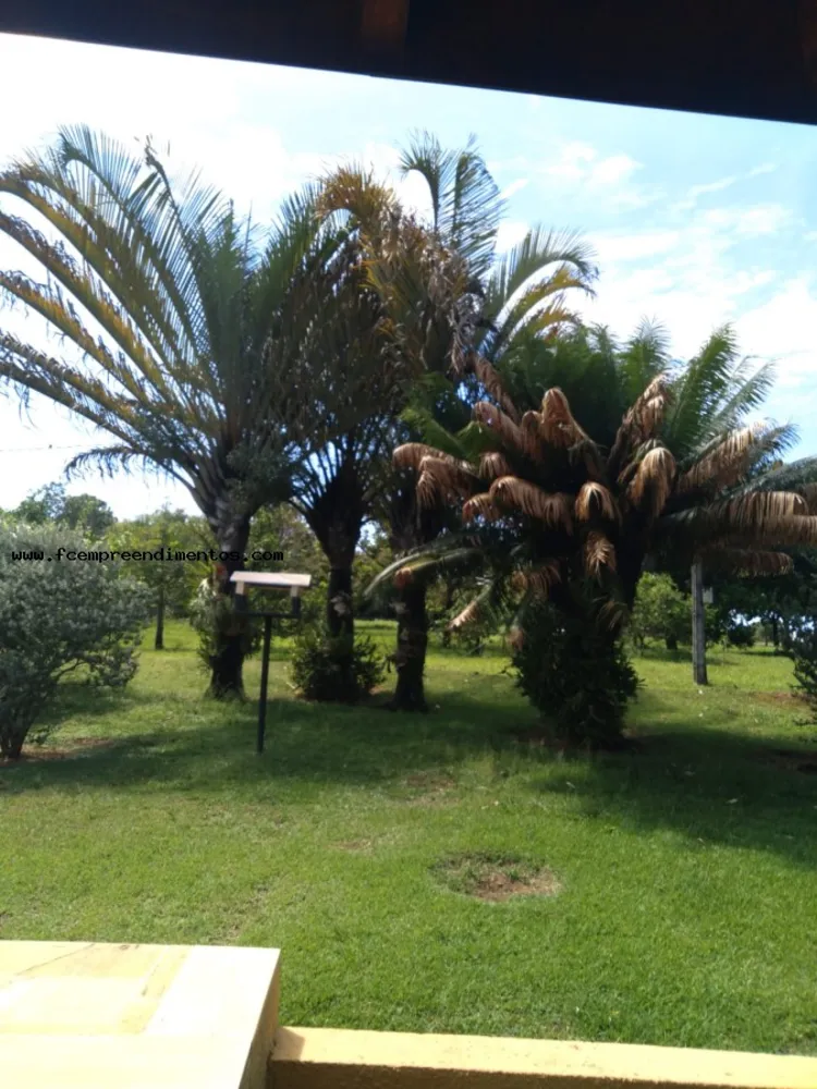 Chácara, 3 quartos, 2 hectares - Foto 6