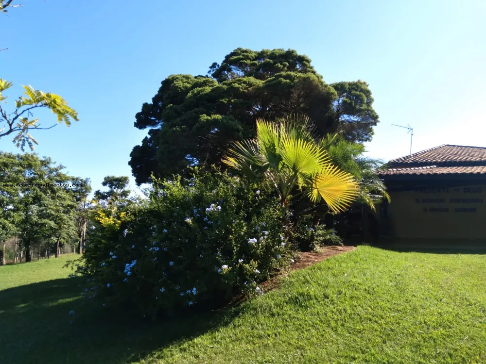 Chácara, 3 quartos, 2 hectares - Foto 4