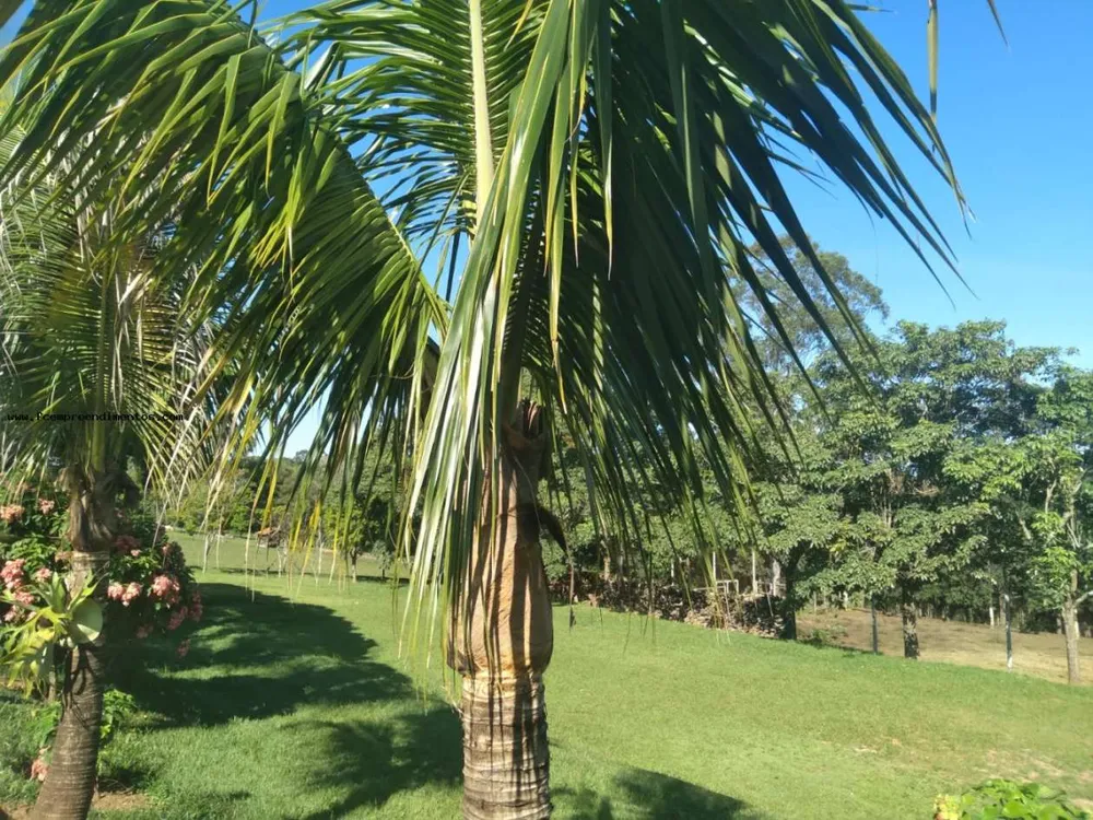 Chácara, 3 quartos, 2 hectares - Foto 3
