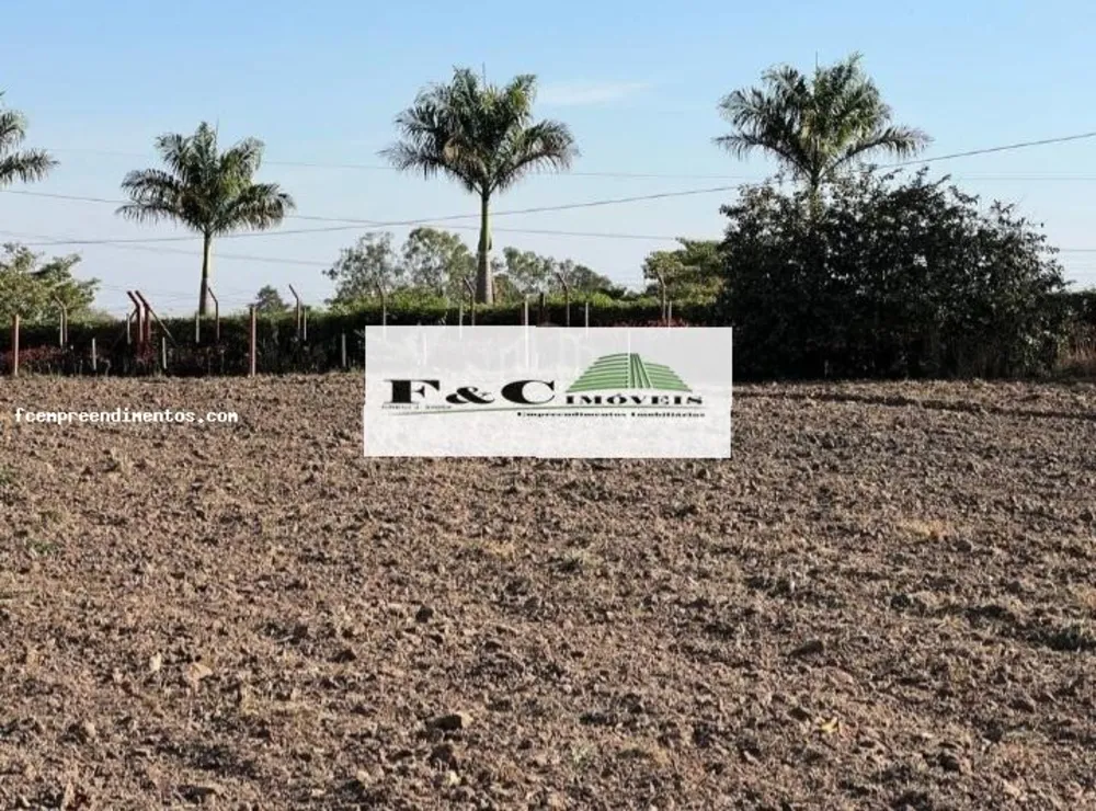 Terreno, 5 hectares - Foto 8