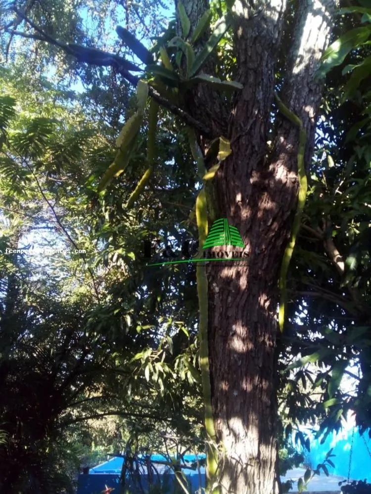 Chácara, 1 quarto, 1500 m² - Foto 7