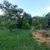 Sítio, 2 quartos, 2 hectares - Foto 3