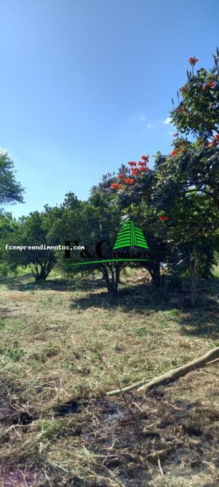 Chácara à venda, 1000m² - Foto 1