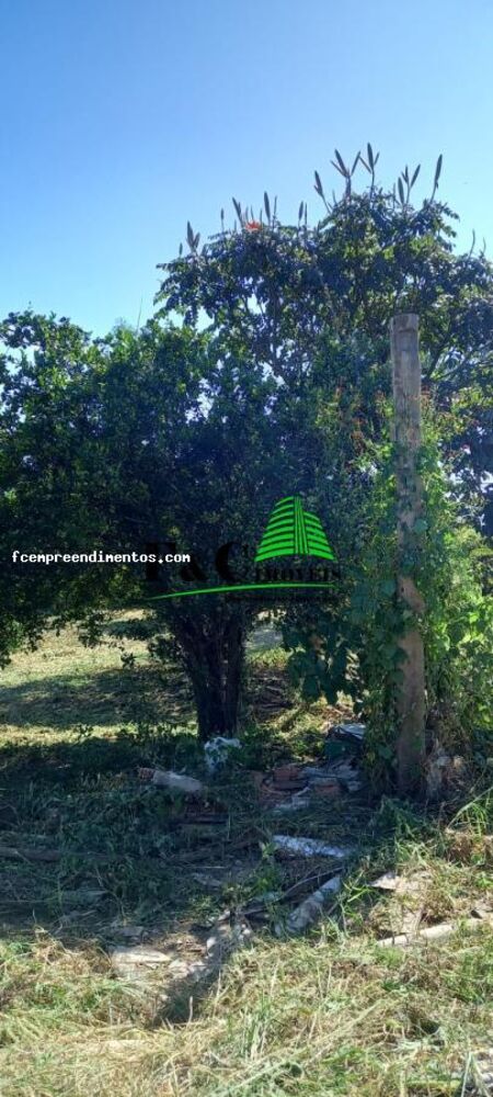 Chácara à venda, 1000m² - Foto 7