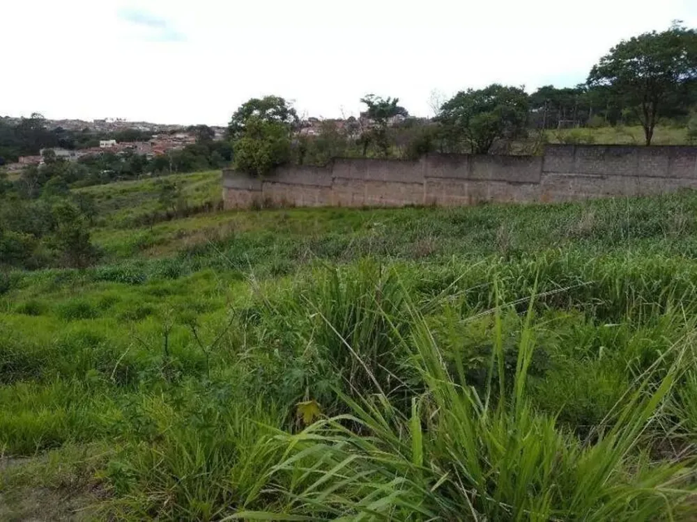 Terreno, 2 hectares - Foto 2