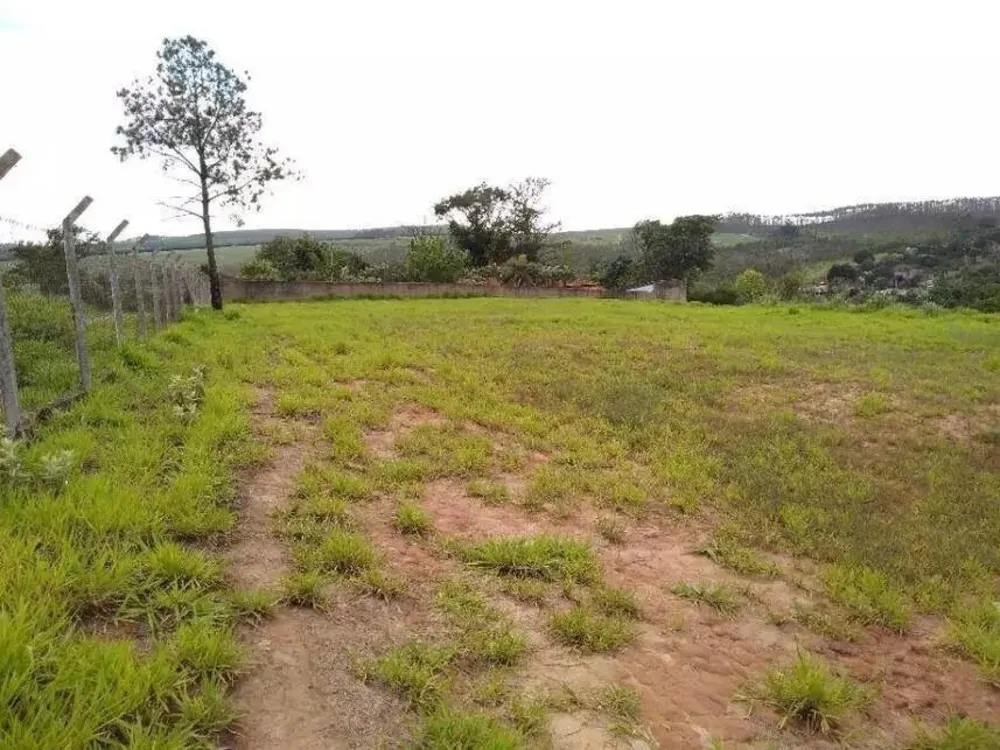 Terreno, 2 hectares - Foto 7