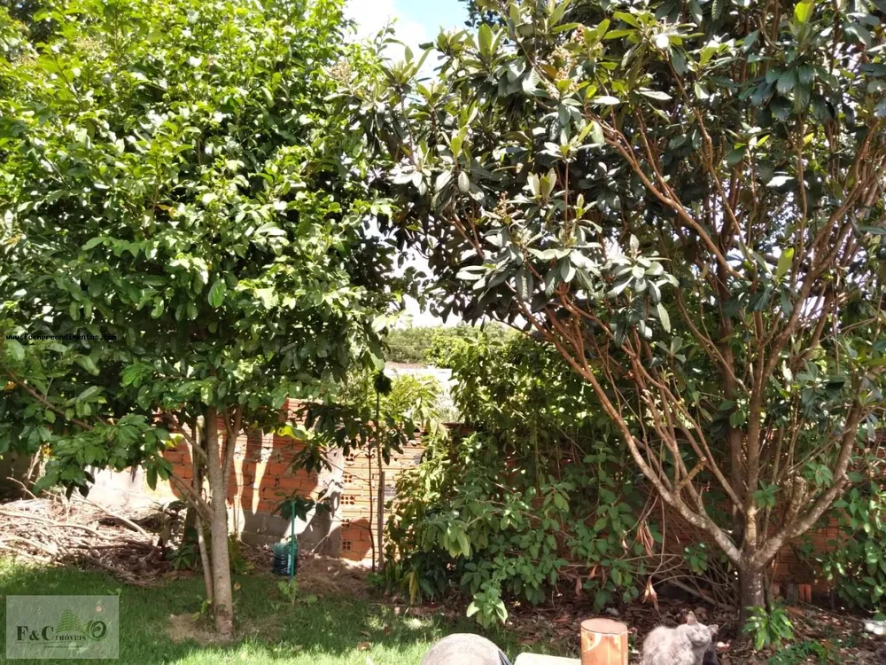 Chácara, 2 quartos, 650 m² - Foto 8