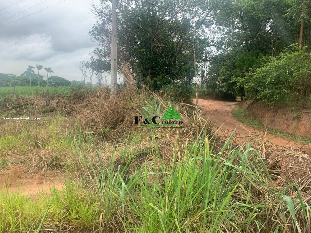 Terreno, 10000 m² - Foto 4