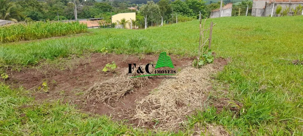 Terreno, 2840 m² - Foto 9