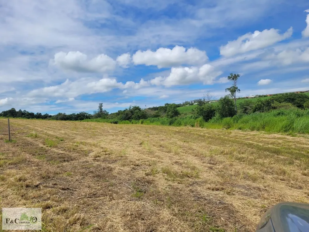 Sítio, 2 hectares - Foto 4
