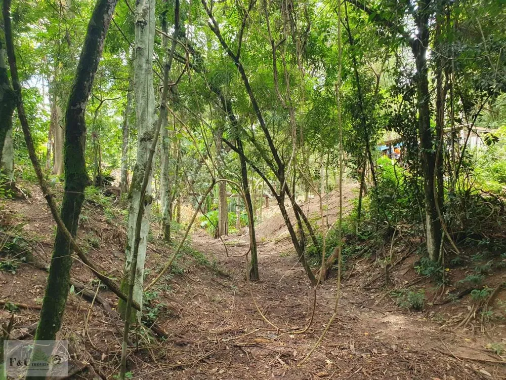Terreno, 1500 m² - Foto 5