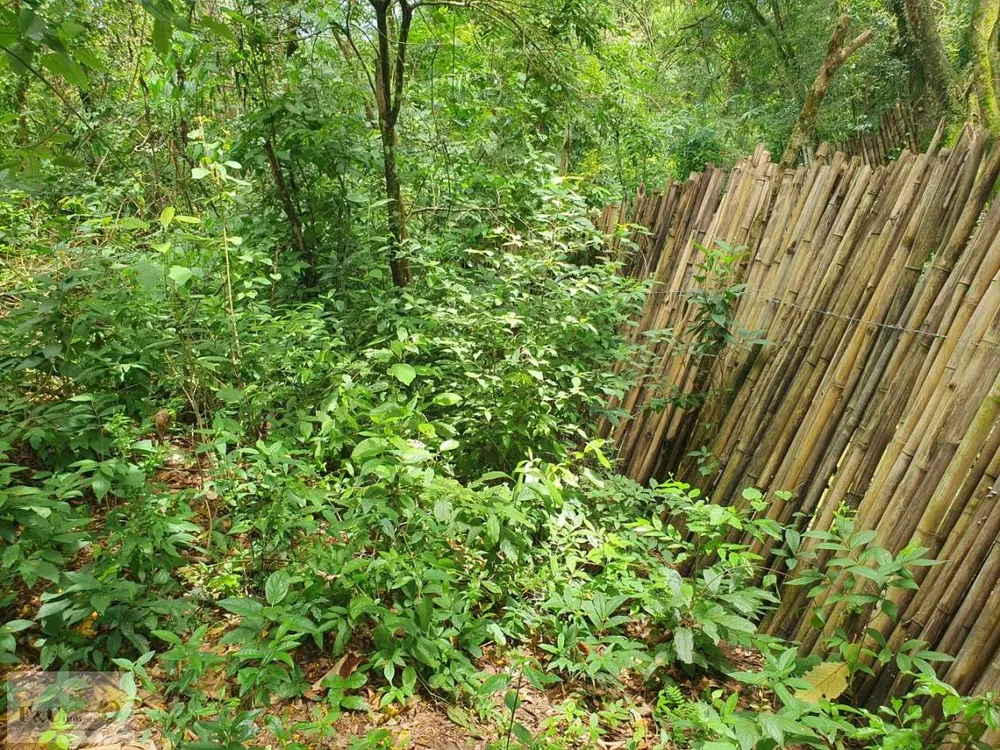 Terreno, 1500 m² - Foto 7