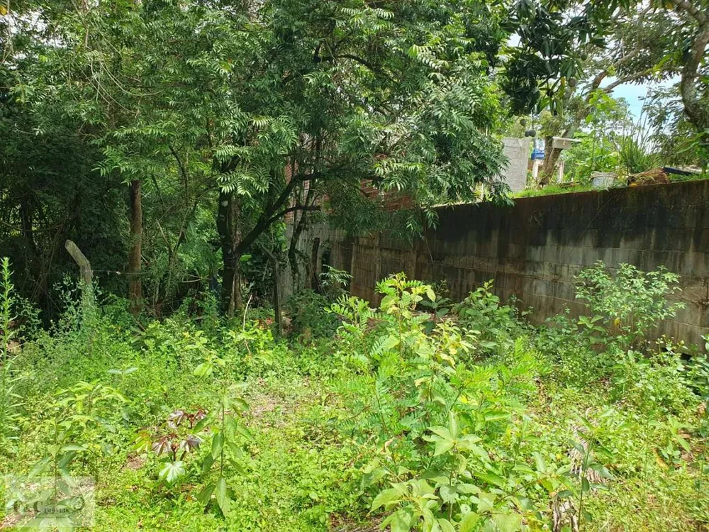 Terreno, 1500 m² - Foto 6