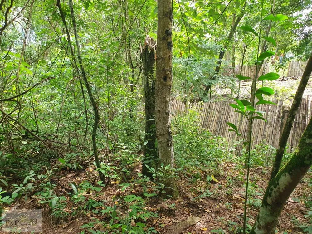 Terreno, 1500 m² - Foto 5
