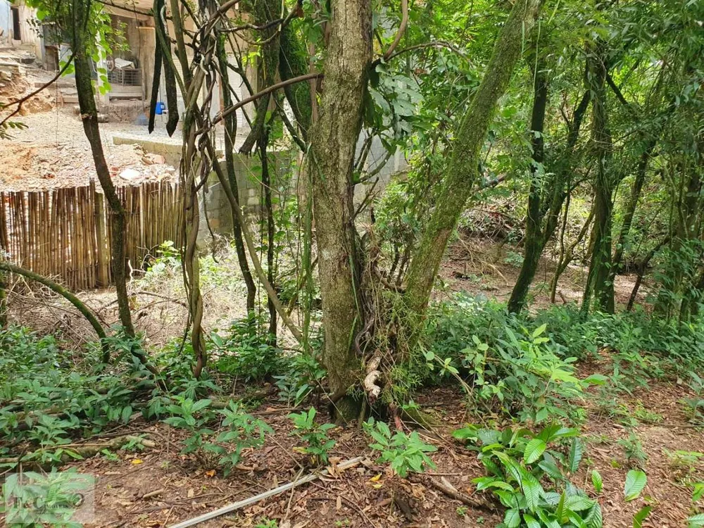 Terreno, 1500 m² - Foto 8