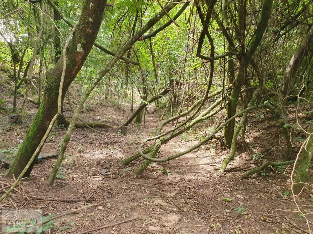 Terreno, 1500 m² - Foto 3