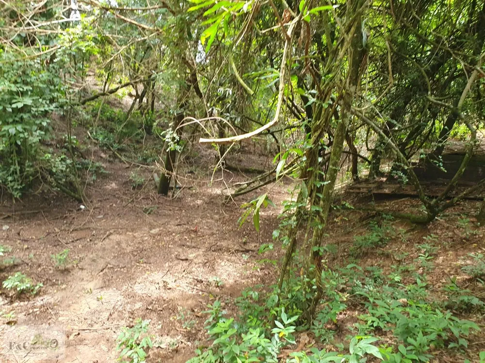 Terreno, 1500 m² - Foto 4
