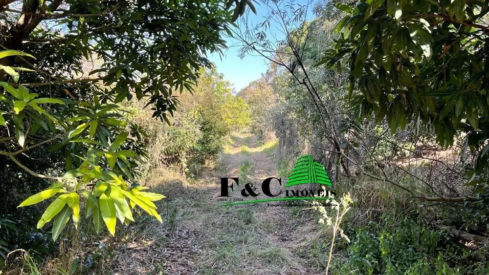 Terreno, 5 hectares - Foto 6