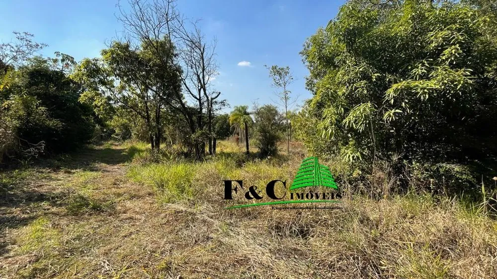 Terreno, 5 hectares - Foto 8