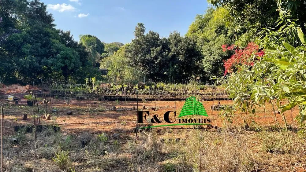 Terreno, 5 hectares - Foto 9
